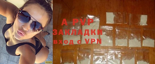 хмурый Абаза