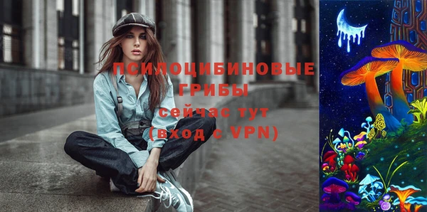 хмурый Абаза