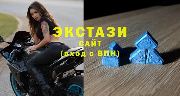 хмурый Абаза