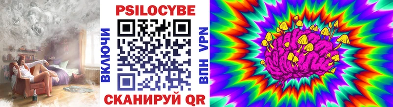Псилоцибиновые грибы Psilocybine cubensis  Нальчик 